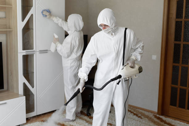24/7 Emergency Odor Removal experts in Concord, NE